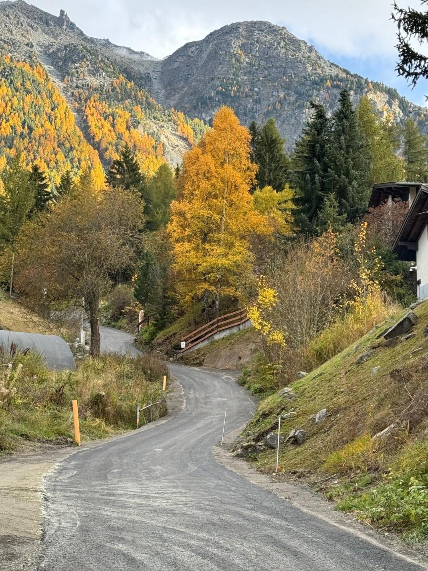 Chalet Charming Grächen Eksteriør bilde