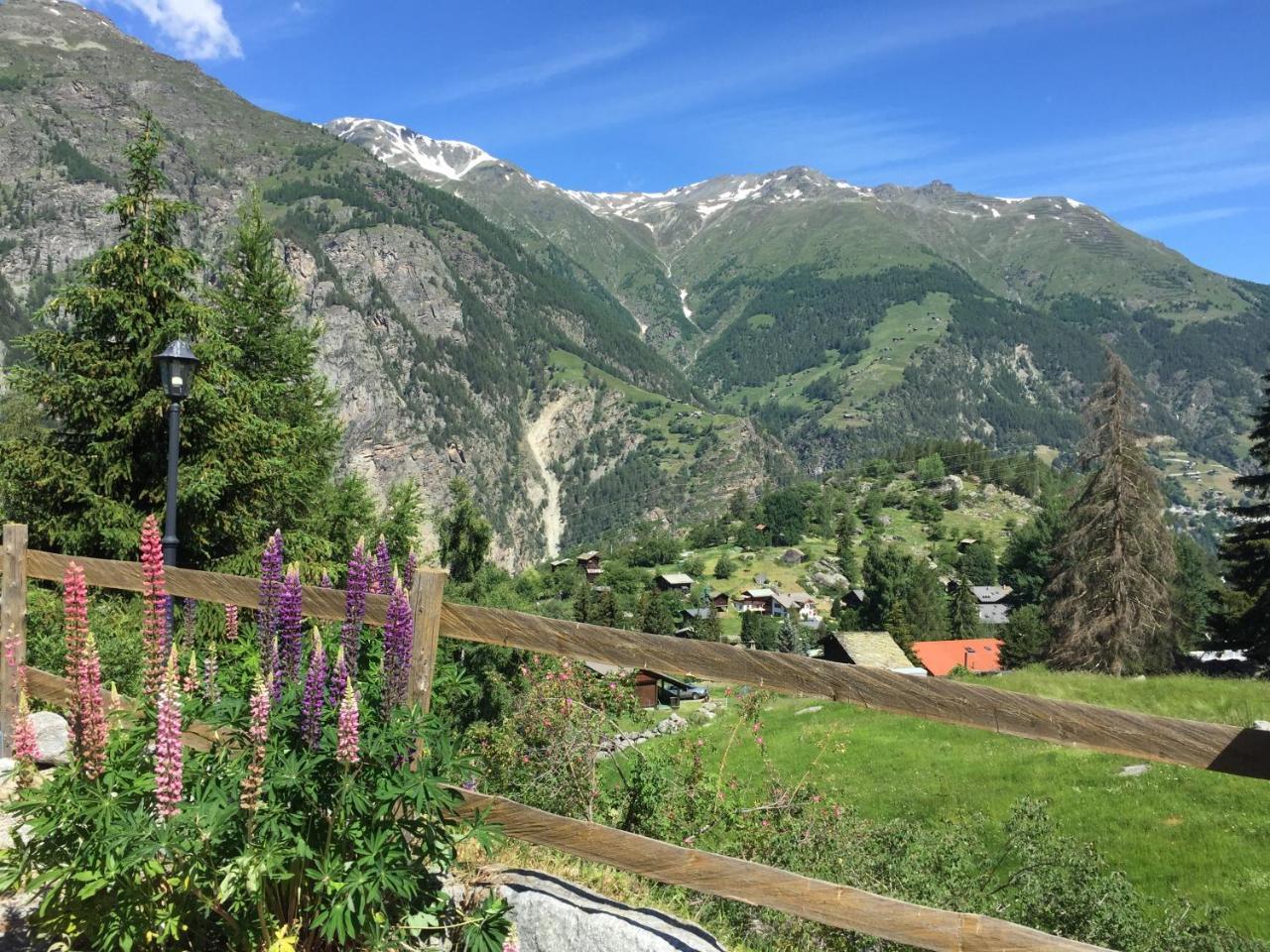 Chalet Charming Grächen Eksteriør bilde